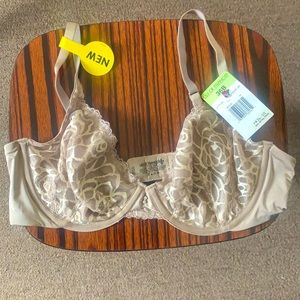 36B size bra